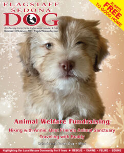 Flagstaff Sedona Dog Cover December 2020