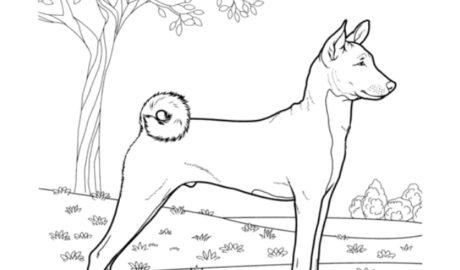 Page from Dogs Are Awesome Coloring Book