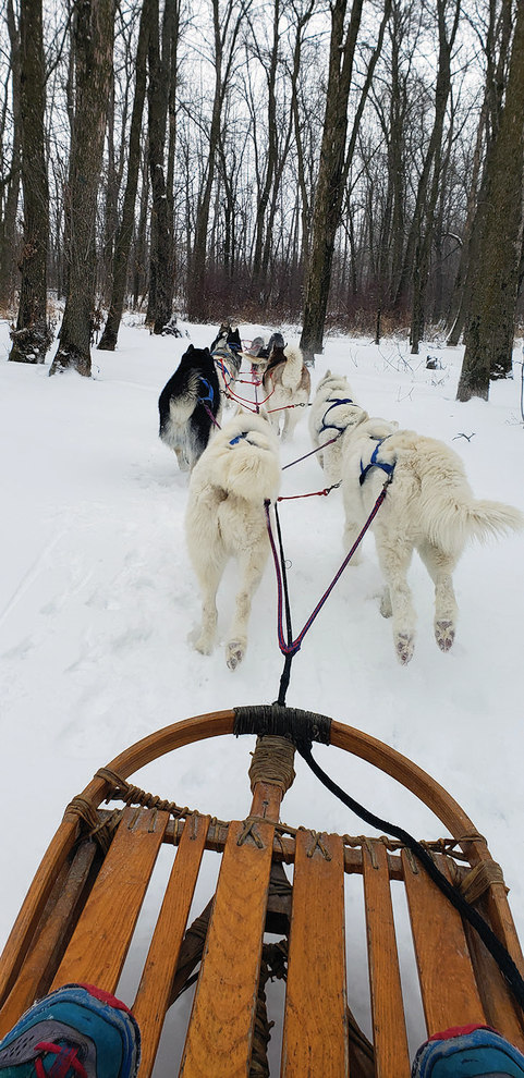 Siberian Outpost’s 16-dog team charges through the Wisconsin woods