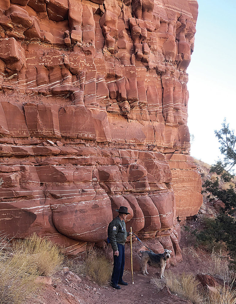 Roadrunner Loop